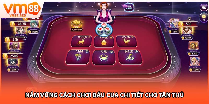 Nắm vững cách chơi bầu cua chi tiết cho tân thủ